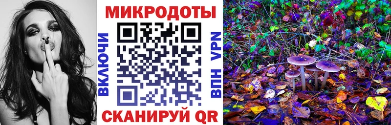 цены наркотик  Суровикино  Псилоцибиновые грибы Psilocybe 